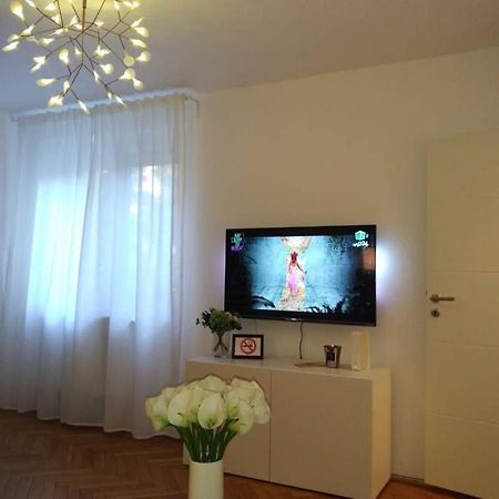 Art & Design Apt - City Center Тимишоара Экстерьер фото
