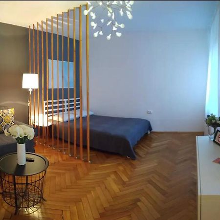 Art & Design Apt - City Center Тимишоара Экстерьер фото