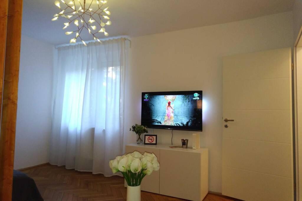 Art & Design Apt - City Center Тимишоара Экстерьер фото