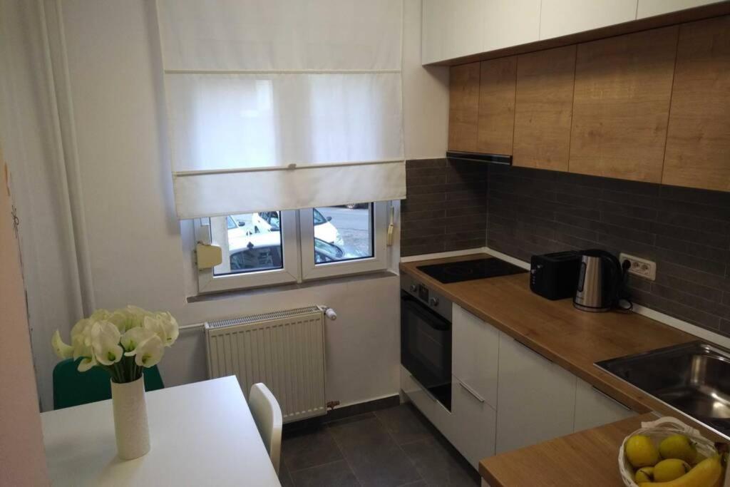 Art & Design Apt - City Center Тимишоара Экстерьер фото
