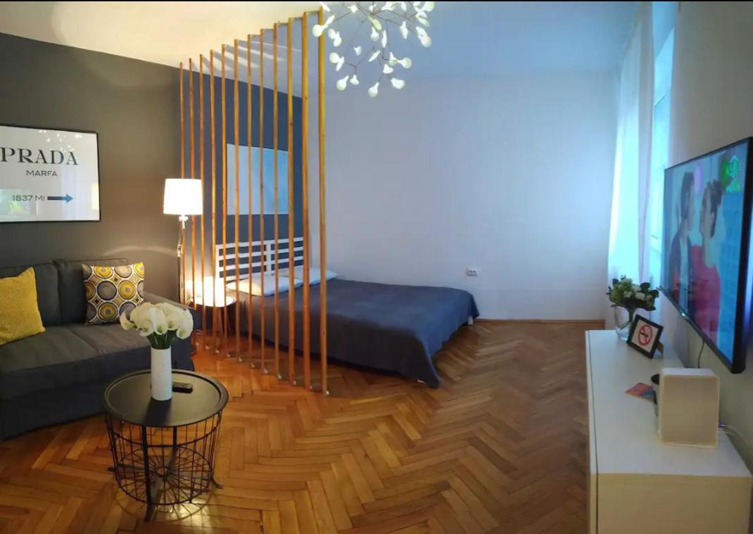 Art & Design Apt - City Center Тимишоара Экстерьер фото